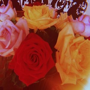 Meet your Posher, Exodus